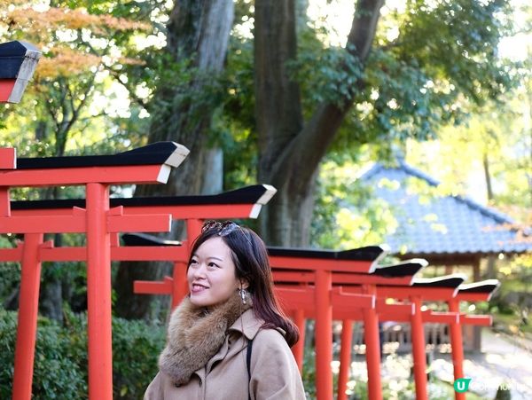 🍁 金澤賞楓秘境:兼六園旁的金澤神社⛩️