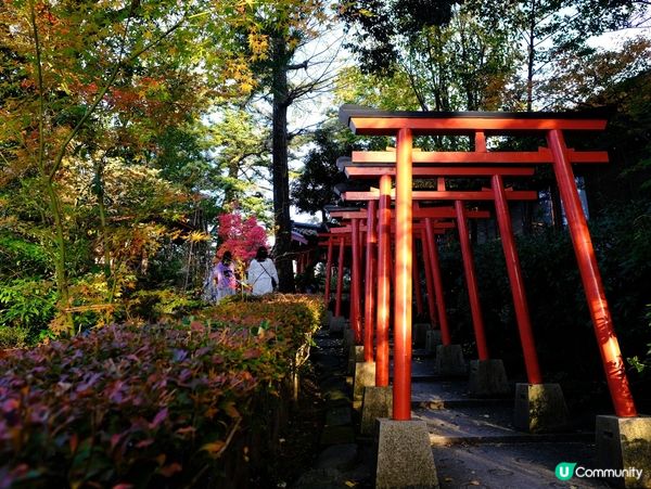 🍁 金澤賞楓秘境:兼六園旁的金澤神社⛩️