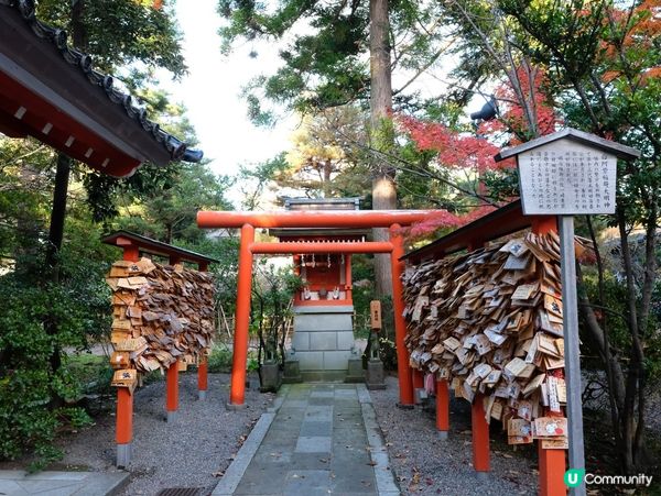 🍁 金澤賞楓秘境:兼六園旁的金澤神社⛩️