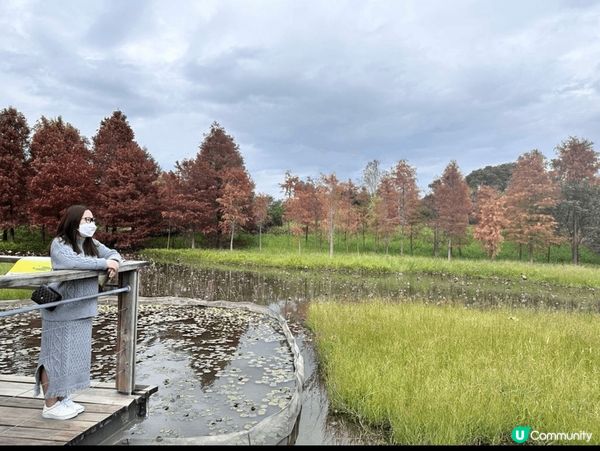 南山圍，冬天的時候仙景如畫，郊外空氣好，遠離市區，郊遊好去處...