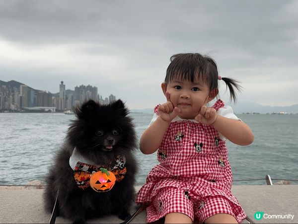 西九龍文化區 最鐘意天氣涼涼地 去野餐 