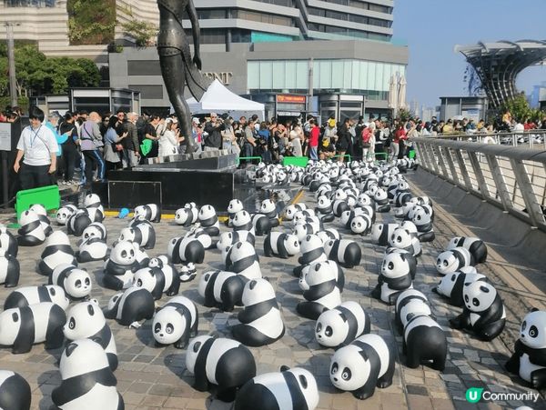 大家都去海洋公園同安安可可打卡，我就去尖沙咀星光大道同過百隻...