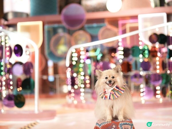 朗豪坊新年佈置