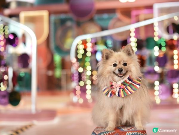 朗豪坊新年佈置