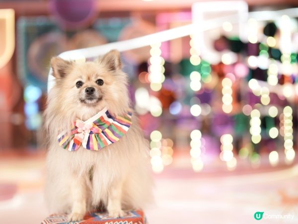 朗豪坊新年佈置