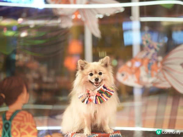 朗豪坊新年佈置