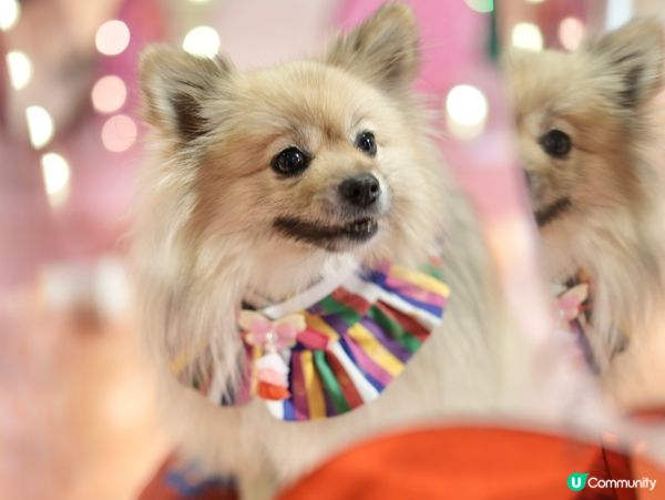 朗豪坊新年佈置