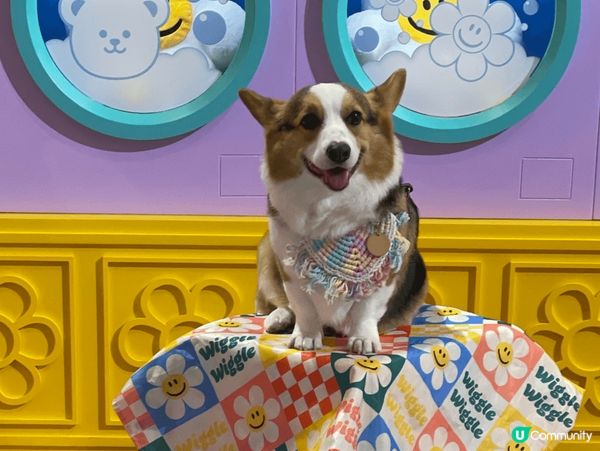 荃灣有魚、小愛神同花嘅藝術裝置，日頭同夜晚睇嘅觀感唔同，絕對...