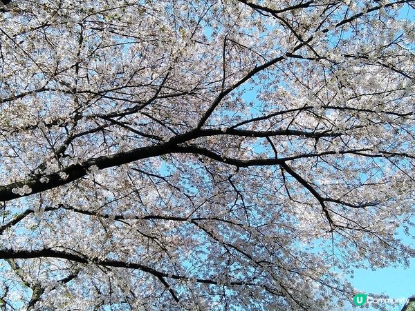 ## 2月夜曲 🎶🌙