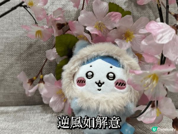 新款和貴妃造型的娃🥰