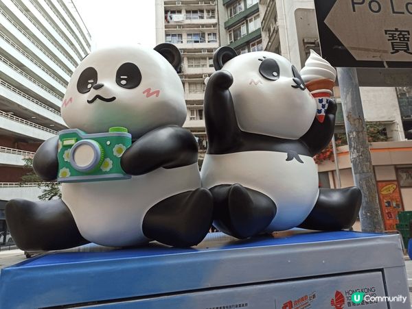 【🐼🐼3D熊貓郵筒，龍鳳熊貓寶寶現身香港各處】