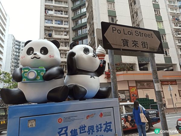 【🐼🐼3D熊貓郵筒，龍鳳熊貓寶寶現身香港各處】