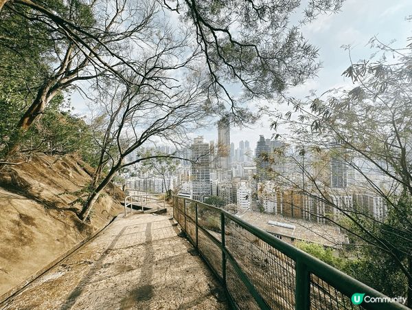 深水埗綠洲 🌄 嘉頓山賞花🌸