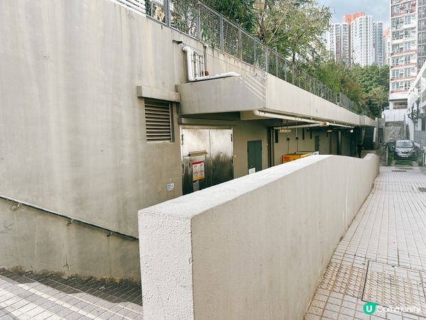 深水埗綠洲 🌄 嘉頓山賞花🌸