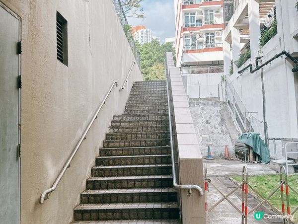 深水埗綠洲 🌄 嘉頓山賞花🌸