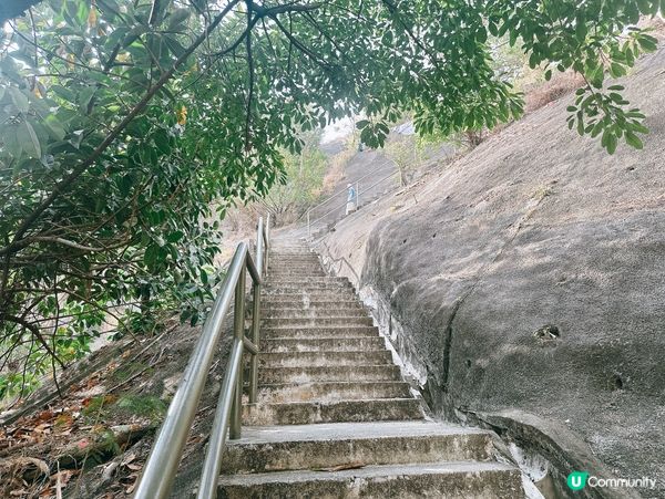 深水埗綠洲 🌄 嘉頓山賞花🌸