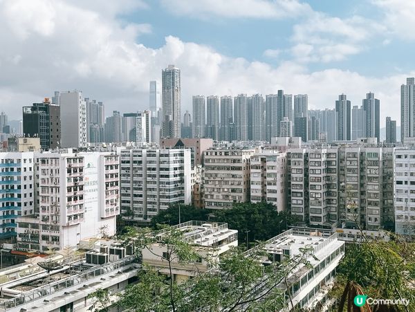 深水埗綠洲 🌄 嘉頓山賞花🌸