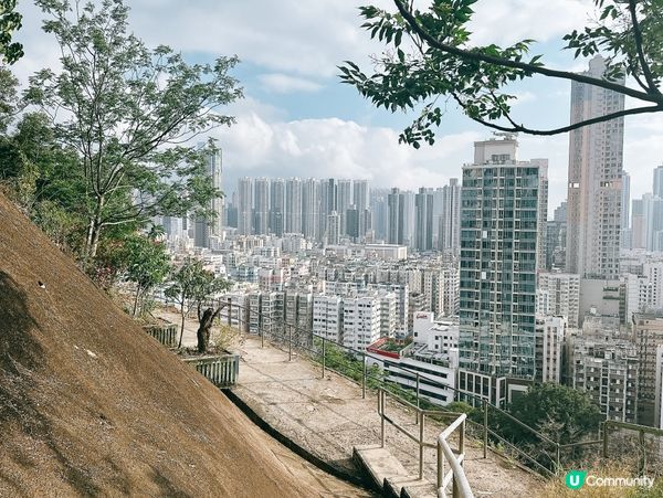 深水埗綠洲 🌄 嘉頓山賞花🌸