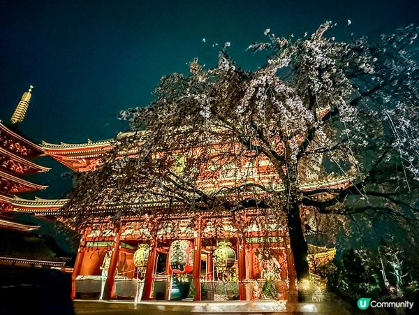 夜探淺草寺🏮神秘又浪漫 ✨