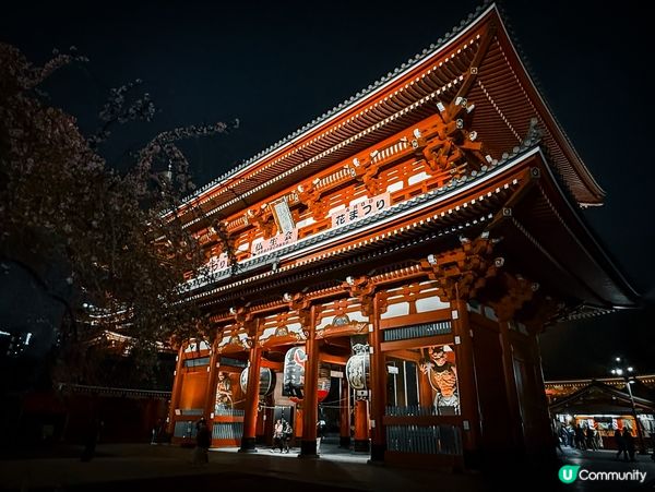 夜探淺草寺🏮神秘又浪漫 ✨