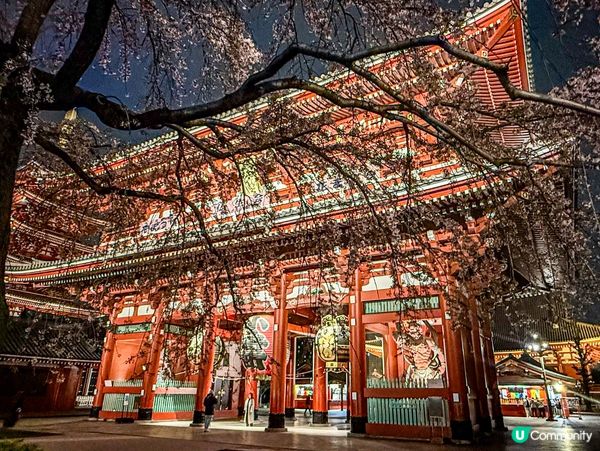 夜探淺草寺🏮神秘又浪漫 ✨
