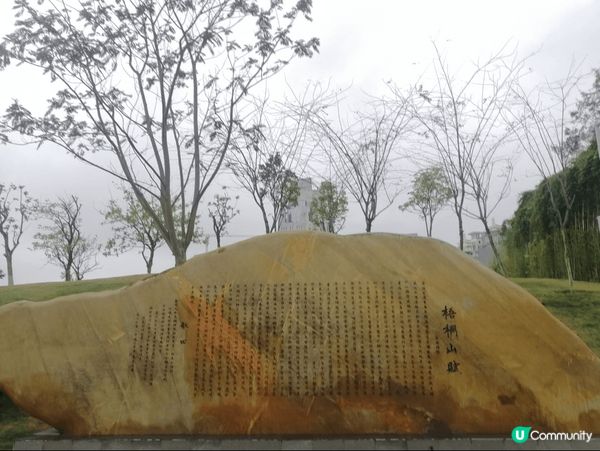 去悟桐山行山，美景如畫，是假期一班朋友北上行山的好日子#淨白...