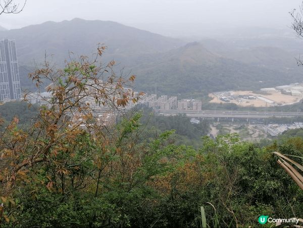 天氣唔算太熱，是行山欣賞美景的好日子，悟烔山是行山的好地方，...