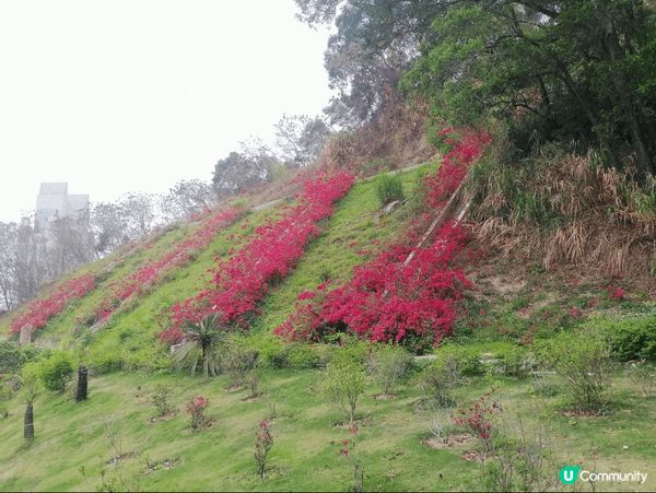 天氣唔算太熱，是行山欣賞美景的好日子，悟烔山是行山的好地方，...