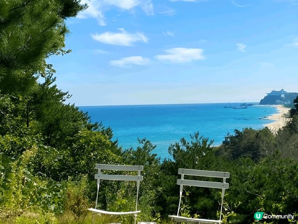 江陵必去網紅打卡Cafe Stay Interview， 位...