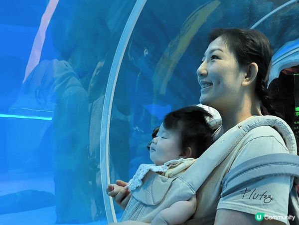 喺香港親子遊，去海洋公園係一個好好嘅選擇，帶小朋友認識一下海...