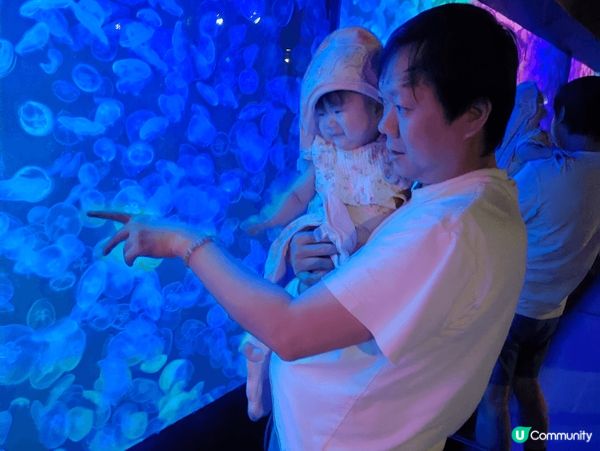 喺香港親子遊，去海洋公園係一個好好嘅選擇，帶小朋友認識一下海...