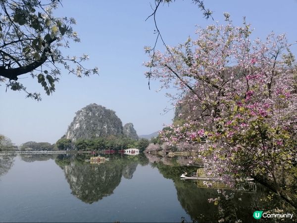 暑假去七星岩睇傳統的岩石，要山有山，要水有水，美景如畫#夏日...
