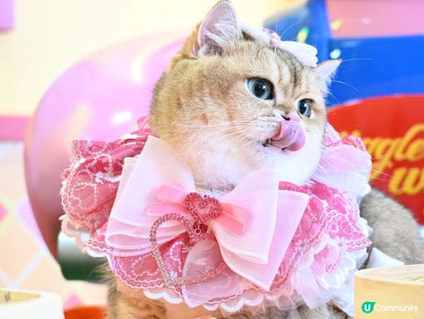 WiggleWiggle in Hong Kong