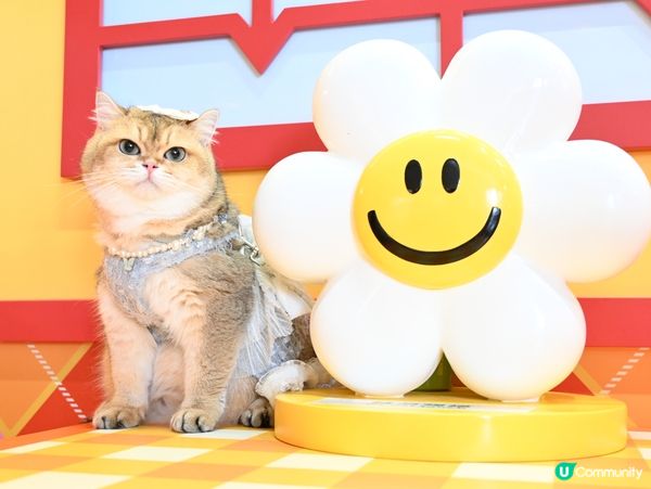 WiggleWiggle in Hong Kong