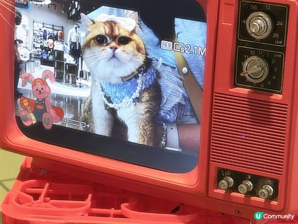 WiggleWiggle in Hong Kong