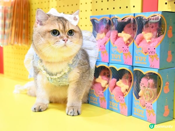 WiggleWiggle in Hong Kong