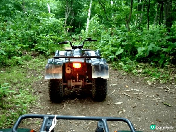 🚗🌲北海道四季都正！四驅車森林探險 