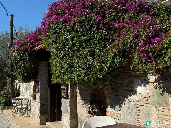 塞爾丘克慢活之旅！住民宿感受土耳其小鎮風情！🇹🇷