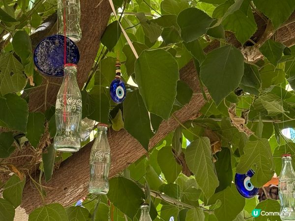 塞爾丘克慢活之旅！住民宿感受土耳其小鎮風情！🇹🇷