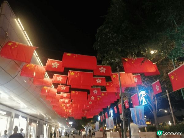我去尖沙咀的國慶旗海打卡，然後去坐船欣賞一下维港景色#蚊蟲消...