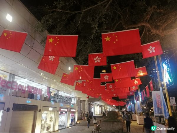 我去尖沙咀的國慶旗海打卡，然後去坐船欣賞一下维港景色#蚊蟲消...