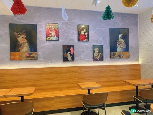 將軍澳｜新開寵物友善西式餐廳🍴