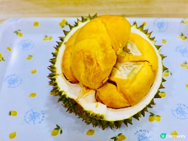 馬來西亞吃喝玩樂攻略✨