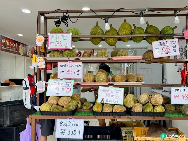 馬來西亞吃喝玩樂攻略✨