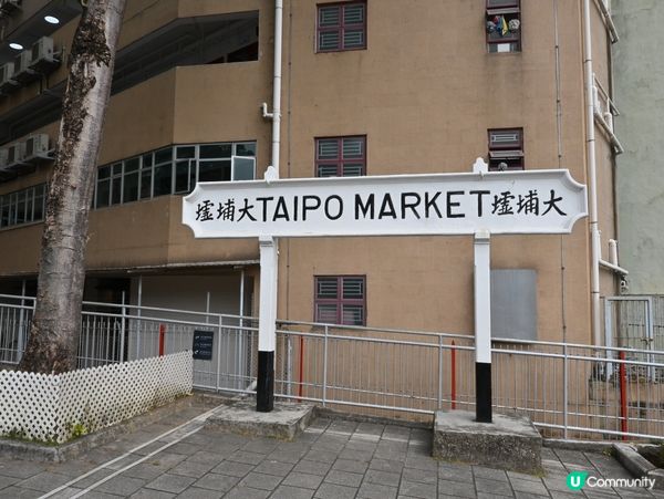 懷舊鐵路遊！🚂💨 鋼軌時光隧道！