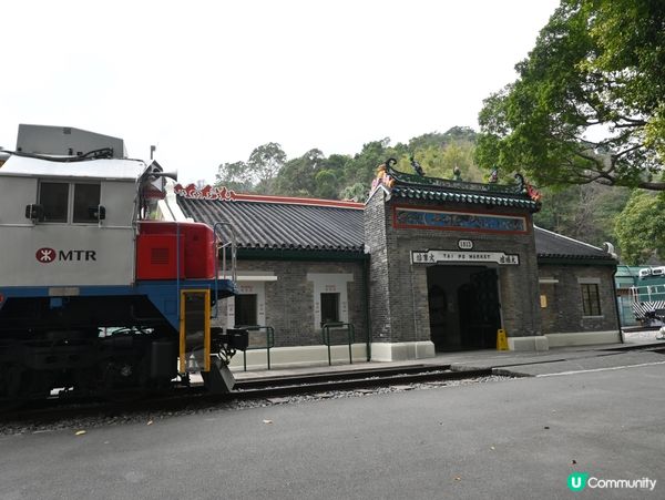 懷舊鐵路遊！🚂💨 鋼軌時光隧道！