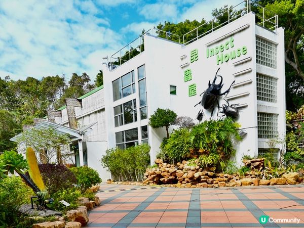 免費親子遊！昆蟲屋好好玩！ 🐞🦋