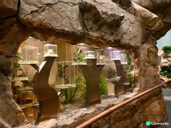 免費親子遊！昆蟲屋好好玩！ 🐞🦋