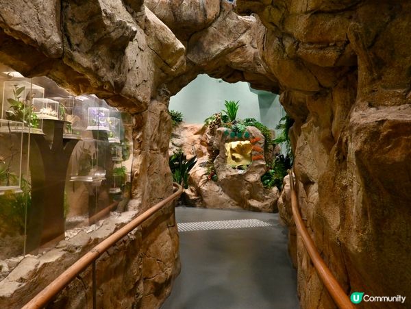 免費親子遊！昆蟲屋好好玩！ 🐞🦋