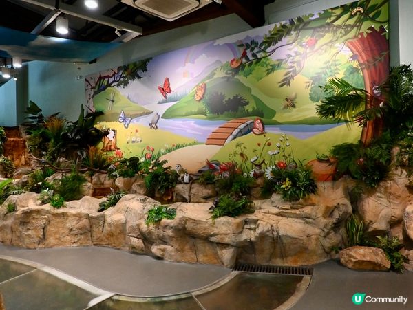 免費親子遊！昆蟲屋好好玩！ 🐞🦋